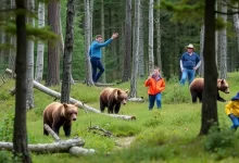 Photo of Лесные тропы: охота на медведя